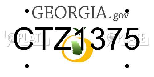 CTZ1375 Georgia License Plate
