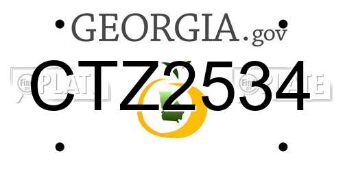 CTZ2534 Georgia License Plate