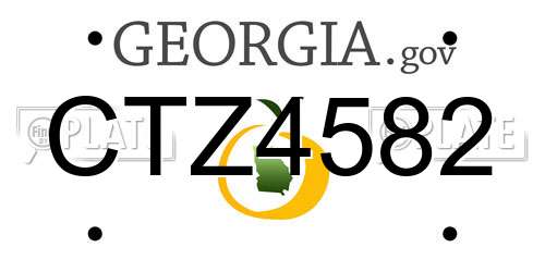 CTZ4582 Georgia License Plate