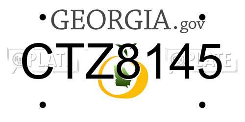 CTZ8145 Georgia License Plate