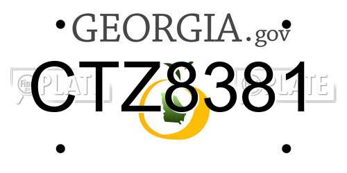 CTZ8381 Georgia License Plate