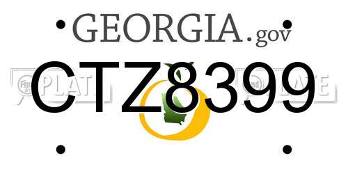 CTZ8399 Georgia License Plate