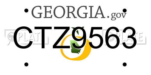 CTZ9563 Georgia License Plate