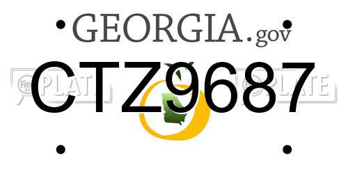 CTZ9687 Georgia License Plate