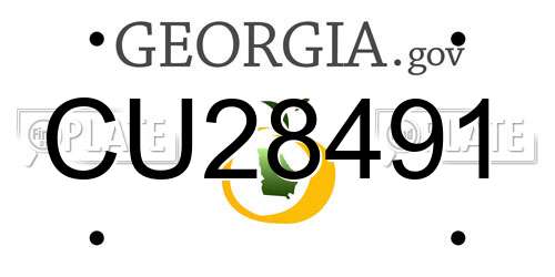 CU28491 Georgia License Plate
