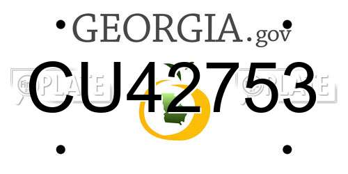 CU42753 Georgia License Plate