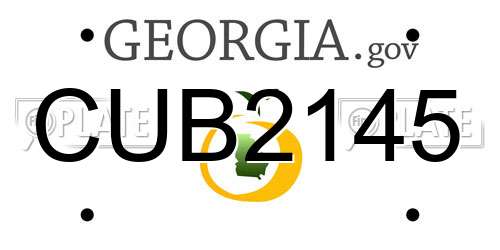 CUB2145 Georgia License Plate