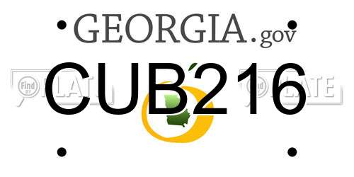CUB216 Georgia License Plate