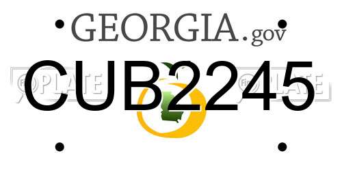 CUB2245 Georgia License Plate