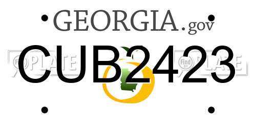 CUB2423 Georgia License Plate