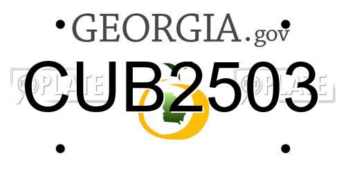 CUB2503 Georgia License Plate