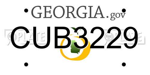 CUB3229 Georgia License Plate