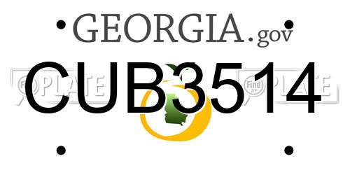 CUB3514 Georgia License Plate