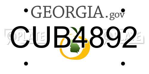CUB4892 Georgia License Plate