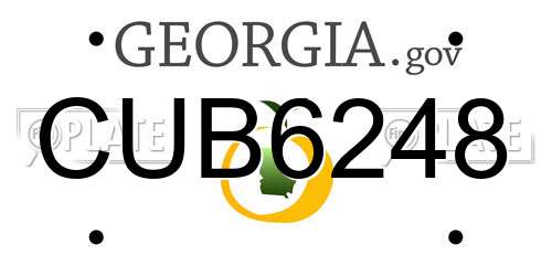 CUB6248 Georgia License Plate