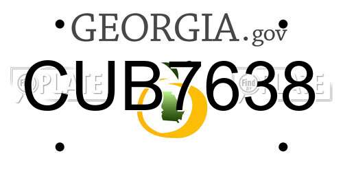 CUB7638 Georgia License Plate