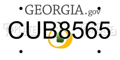 CUB8565 Georgia License Plate