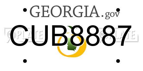 CUB8887 Georgia License Plate