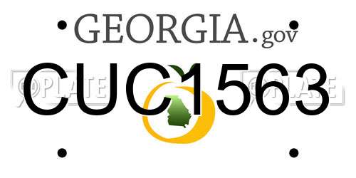 CUC1563 Georgia License Plate