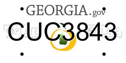 CUC3843 Georgia License Plate