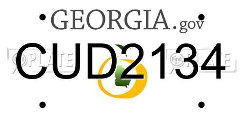 CUD2134 Georgia License Plate