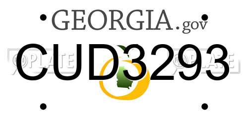CUD3293 Georgia License Plate