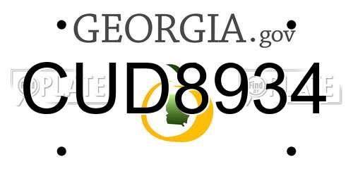 CUD8934 Georgia License Plate