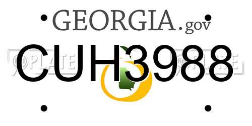 CUH3988 Georgia License Plate
