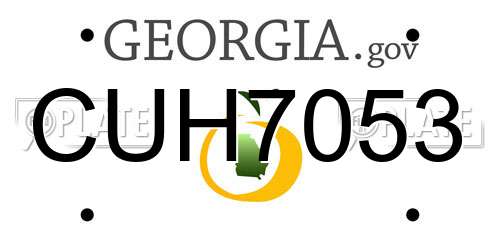 CUH7053 Georgia License Plate