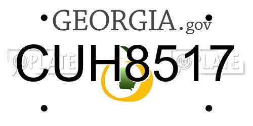 CUH8517 Georgia License Plate