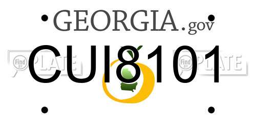 CUI8101 Georgia License Plate