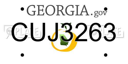 CUJ3263 Georgia License Plate