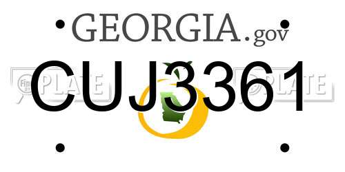 CUJ3361 Georgia License Plate