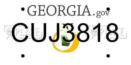 CUJ3818 Georgia License Plate