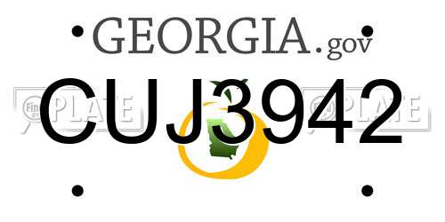 CUJ3942 Georgia License Plate