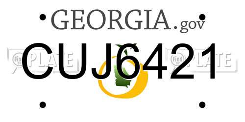 CUJ6421 Georgia License Plate