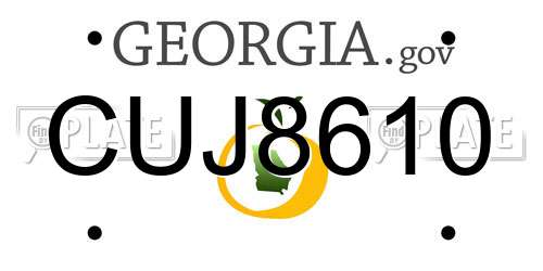 CUJ8610 Georgia License Plate