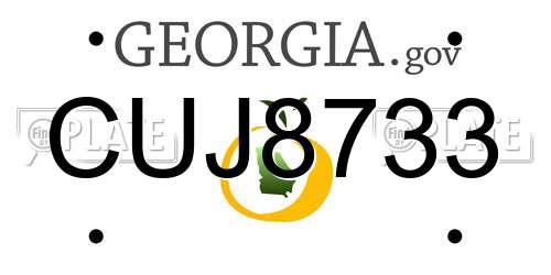 CUJ8733 Georgia License Plate