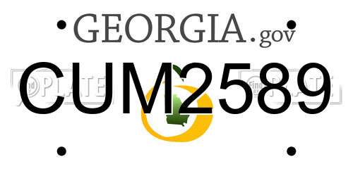 CUM2589 Georgia License Plate
