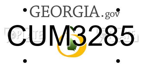 CUM3285 Georgia License Plate