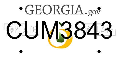 CUM3843 Georgia License Plate