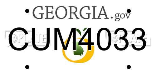 CUM4033 Georgia License Plate