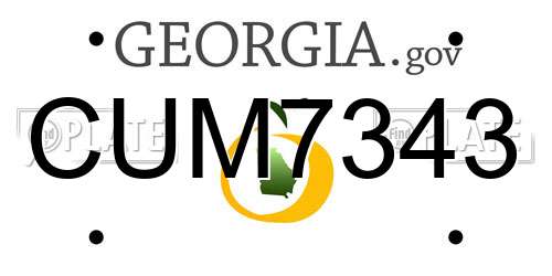CUM7343 Georgia License Plate