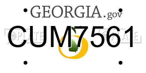 CUM7561 Georgia License Plate