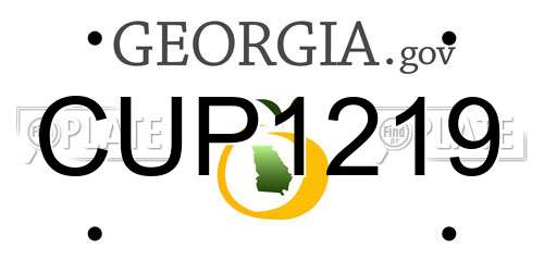CUP1219 Georgia License Plate