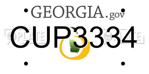 CUP3334 Georgia License Plate