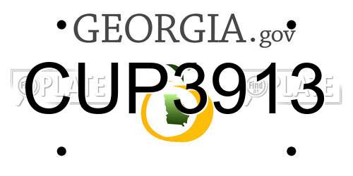 CUP3913 Georgia License Plate