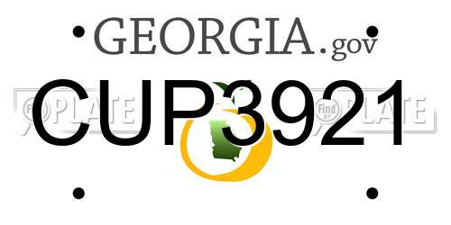 CUP3921 Georgia License Plate