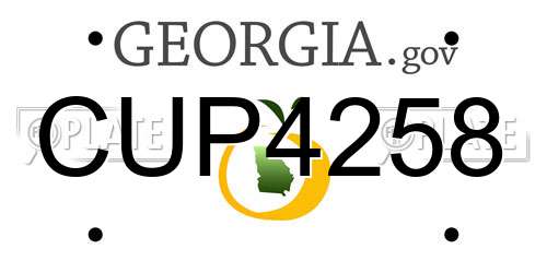 CUP4258 Georgia License Plate