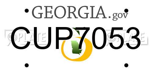 CUP7053 Georgia License Plate